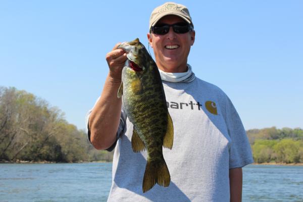 smallmouth bass fishing in knoxville